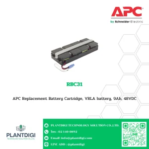 RBC31