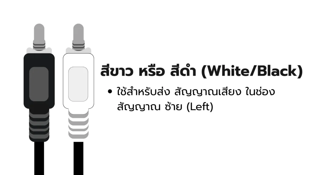 Black and white RCA cable
