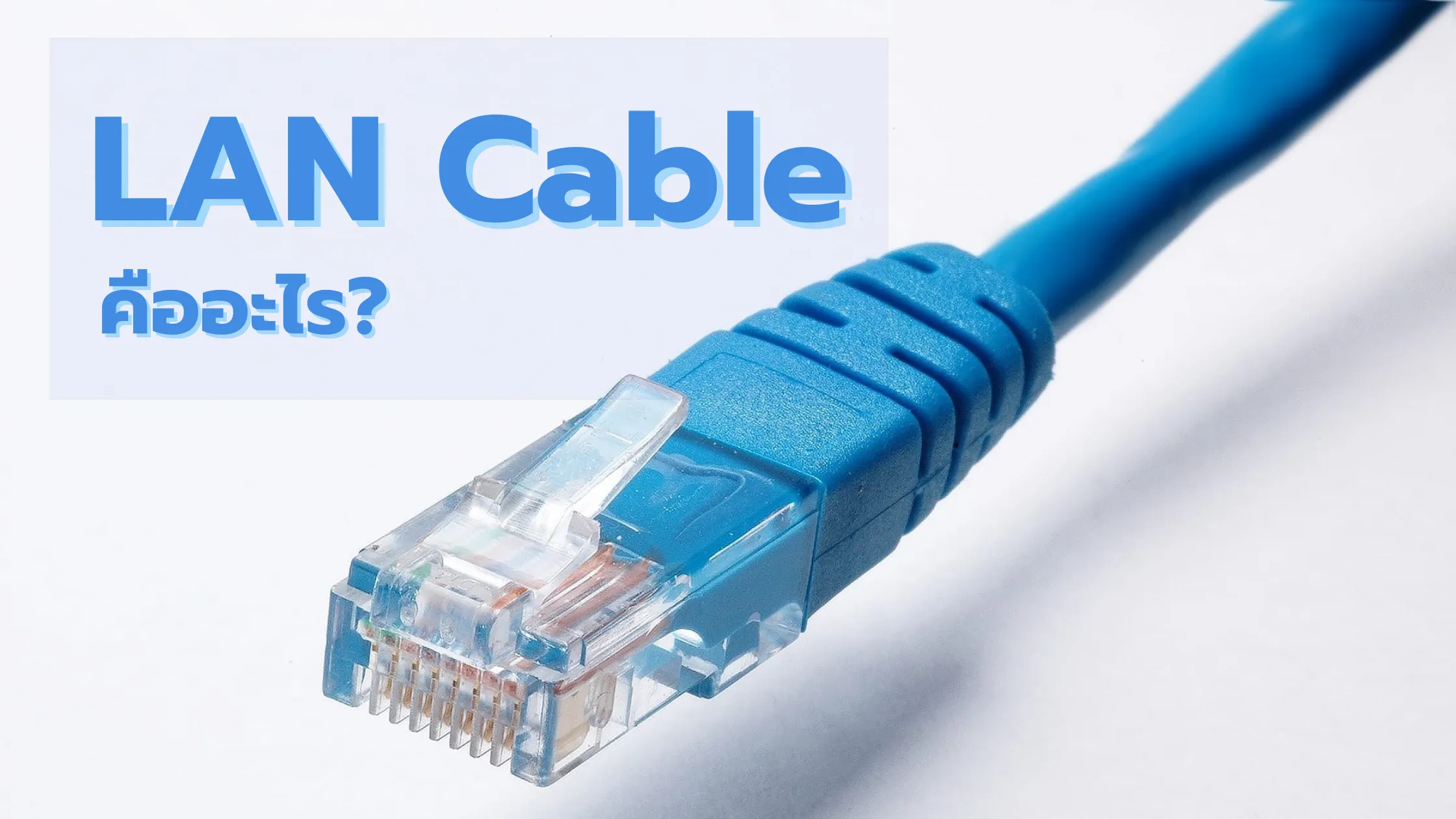 LAN Cable คือ