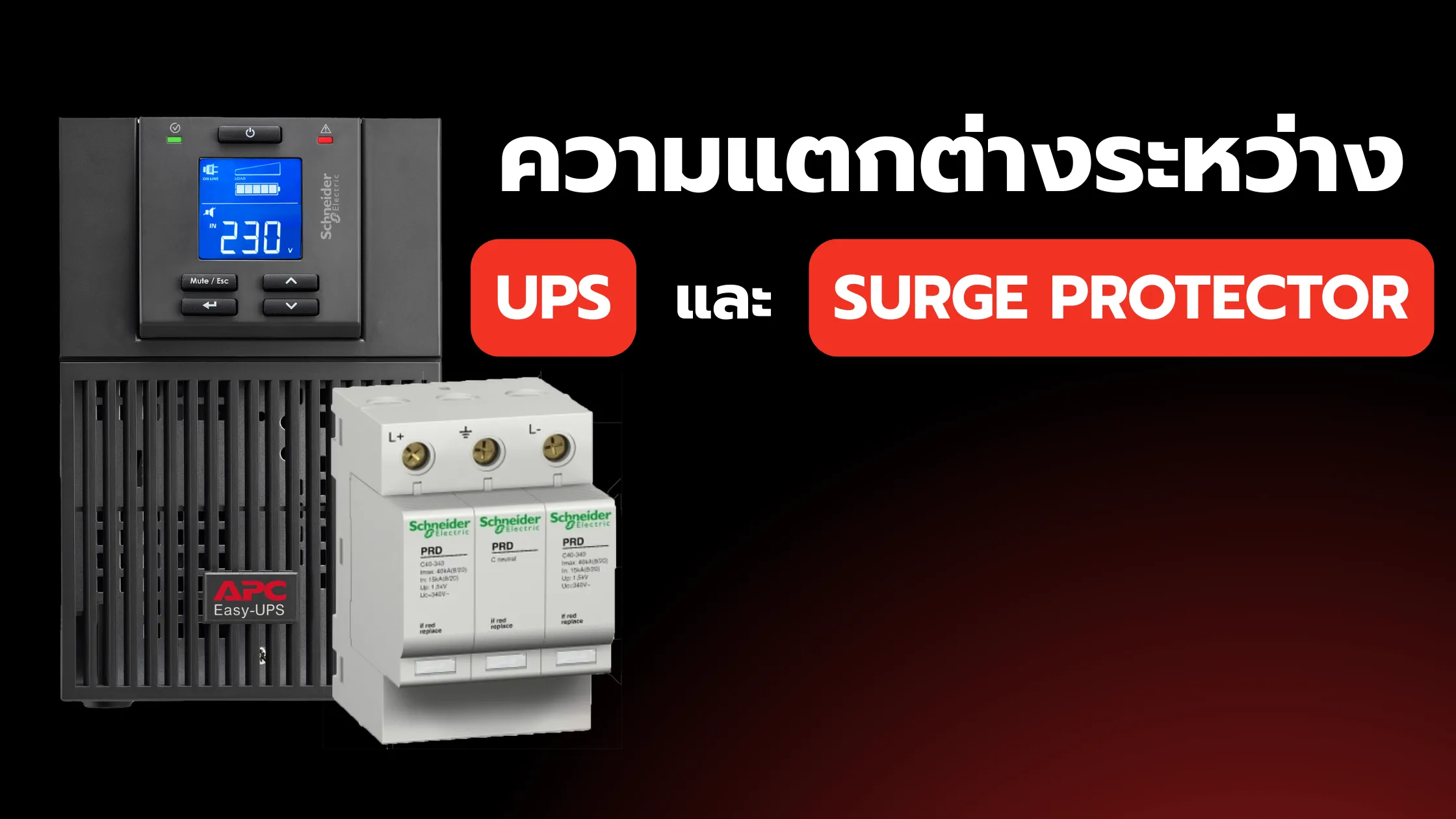 UPS และ Surge Protector