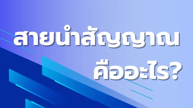 สายนำสัญญาณคือ
