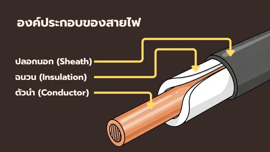 สายไฟคืออะไร? ประเภท หน้าที่ และวิธีเลือกสายไฟให้เหมาะกับการใช้งาน